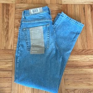NWT Everlane Original Cheeky Jean Size 28 Ankle